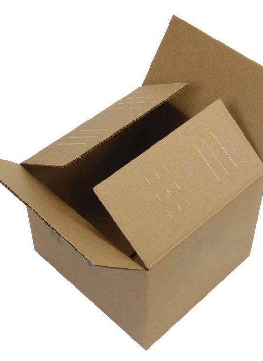 Hotmelt aplicado caja